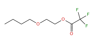 2-Butoxyethyl trifluroacetate
